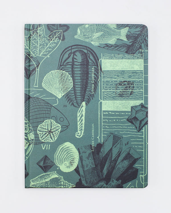 Fossils Hardcover - Dot Grid