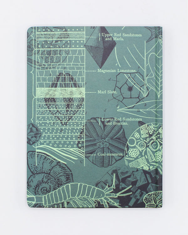 Fossils Hardcover - Dot Grid