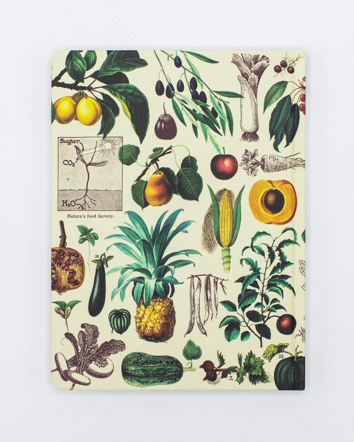 Fruits & Vegetables Hardcover - Lined/Grid