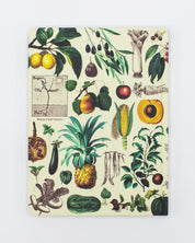 Fruits & Vegetables Hardcover - Lined/Grid