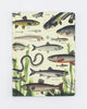 Freshwater Fish Hardcover - Lined/Grid