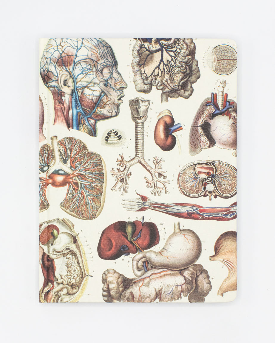 Internal Medicine Hardcover Notebook - Lined/Grid