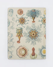 Haeckel Jellyfish Hardcover - Blank