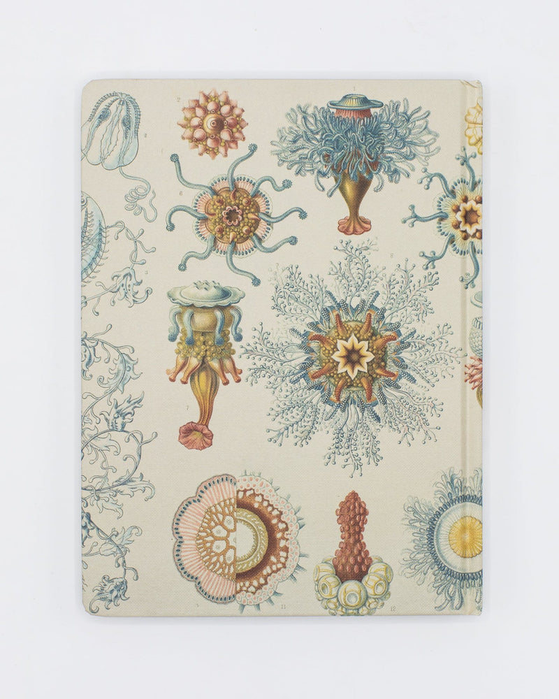 Haeckel Jellyfish Hardcover - Blank