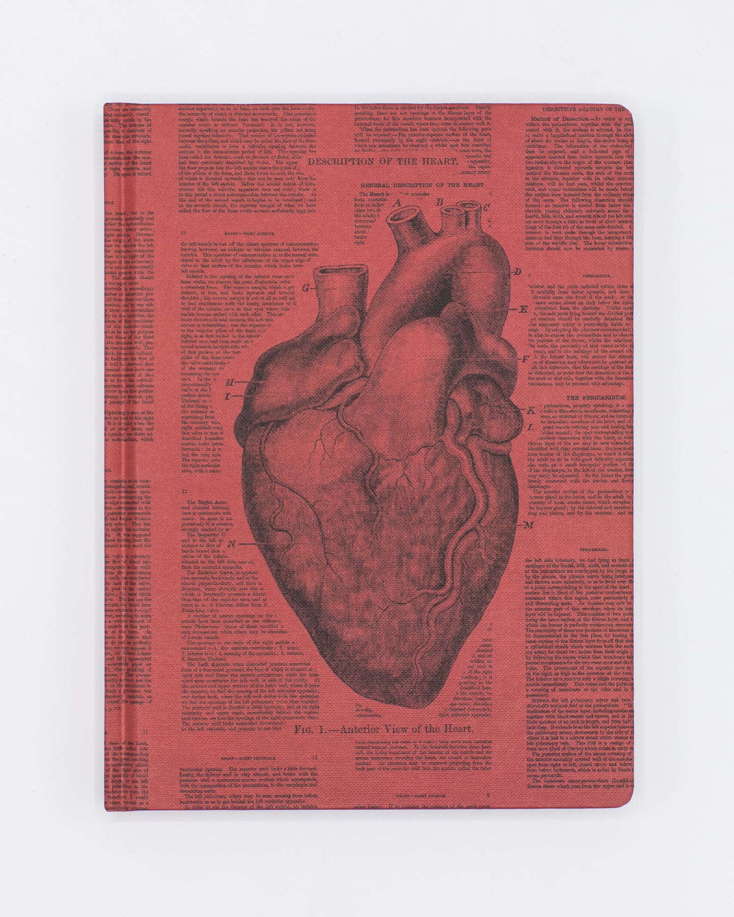 Anatomical Heart Hardcover - Dot Grid