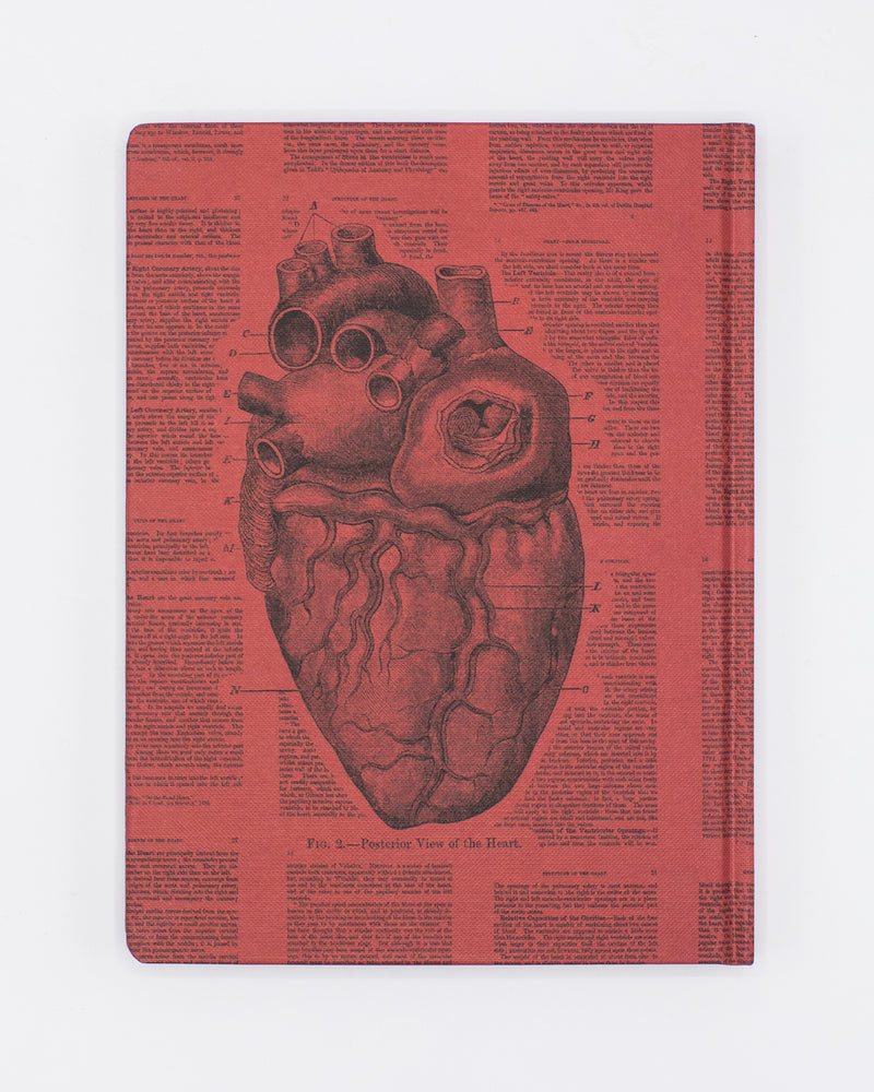 Anatomical Heart Hardcover - Lined/Grid