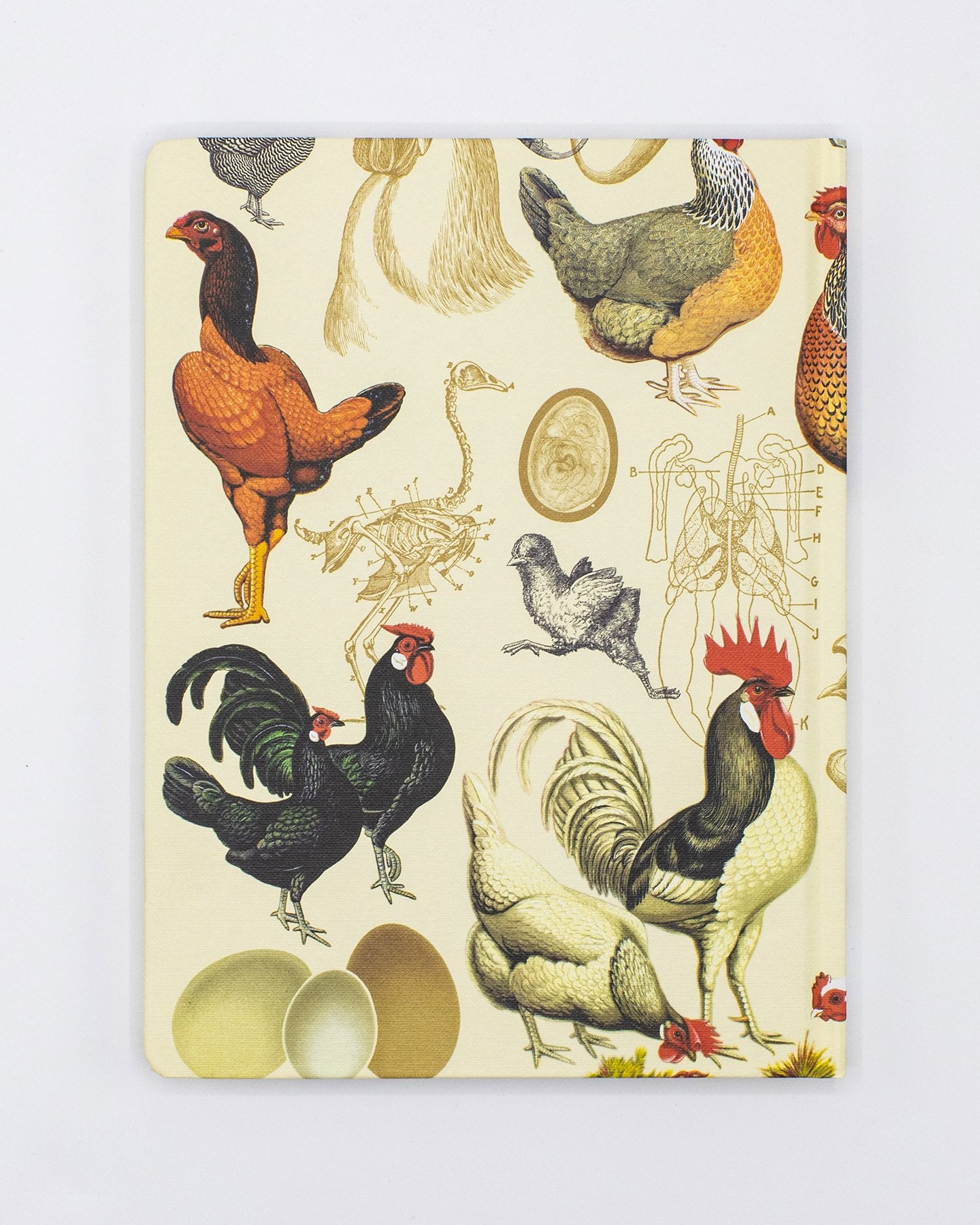 Chicken Hardcover - Dot Grid