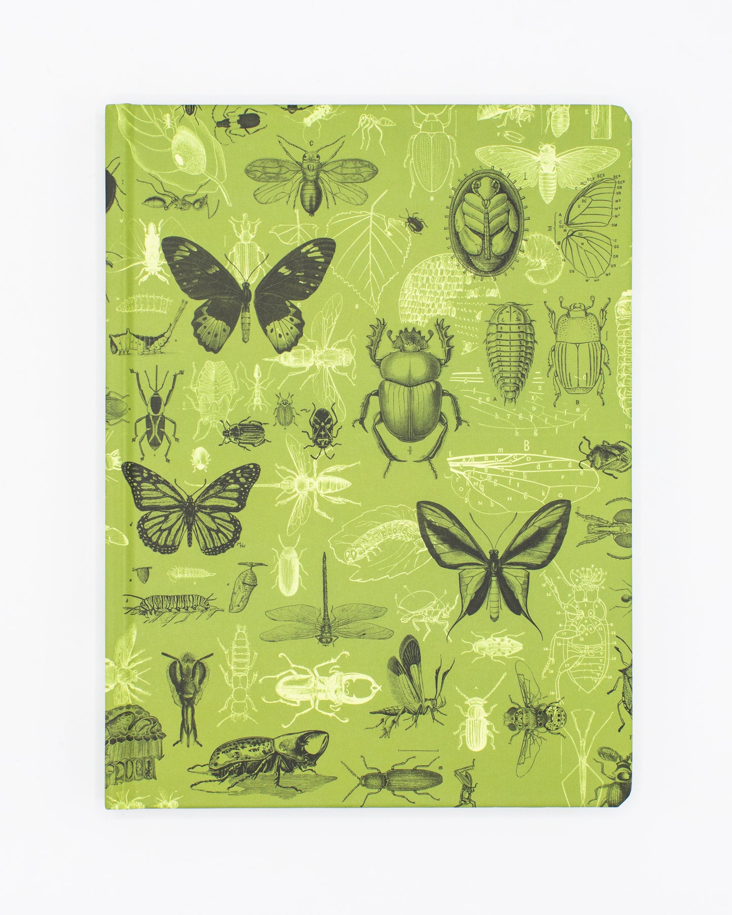 Insects Hardcover - Dot Grid