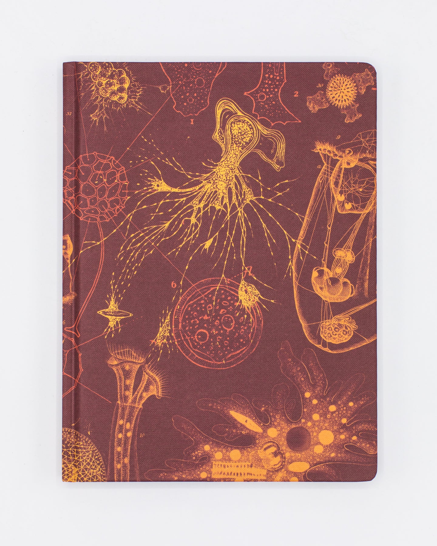 Microbiology Hardcover - Dot Grid