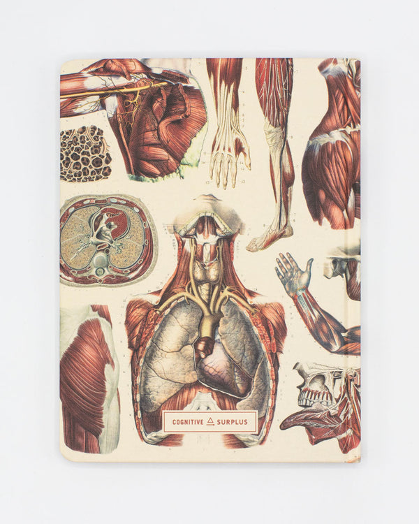Anatomy: Muscles Hardcover Notebook - Lined/Grid