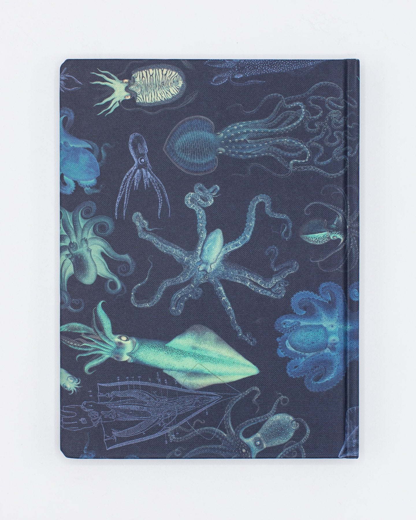 Cephalopods: Octopus & Squid Hardcover - Dot Grid