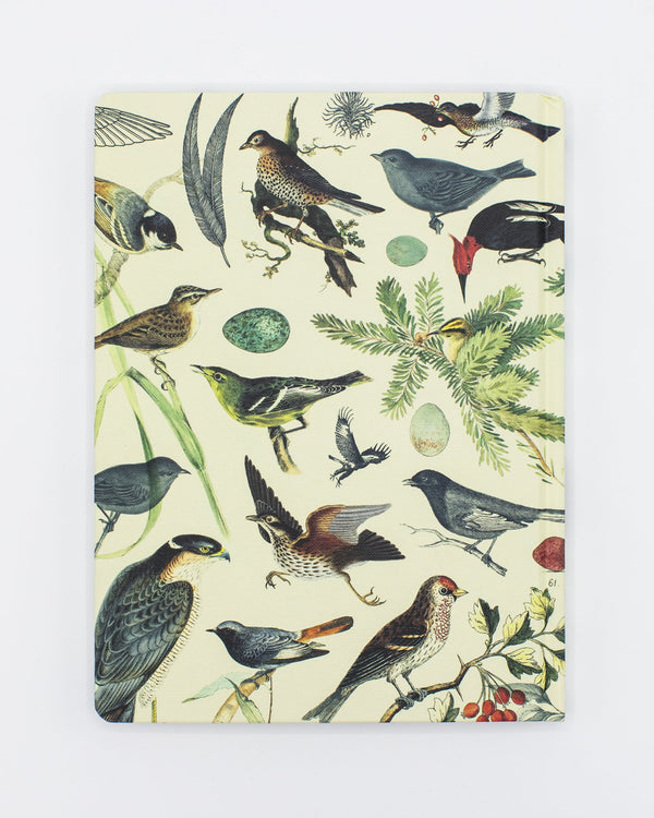 Ornithology: Birds Hardcover - Lined/Grid