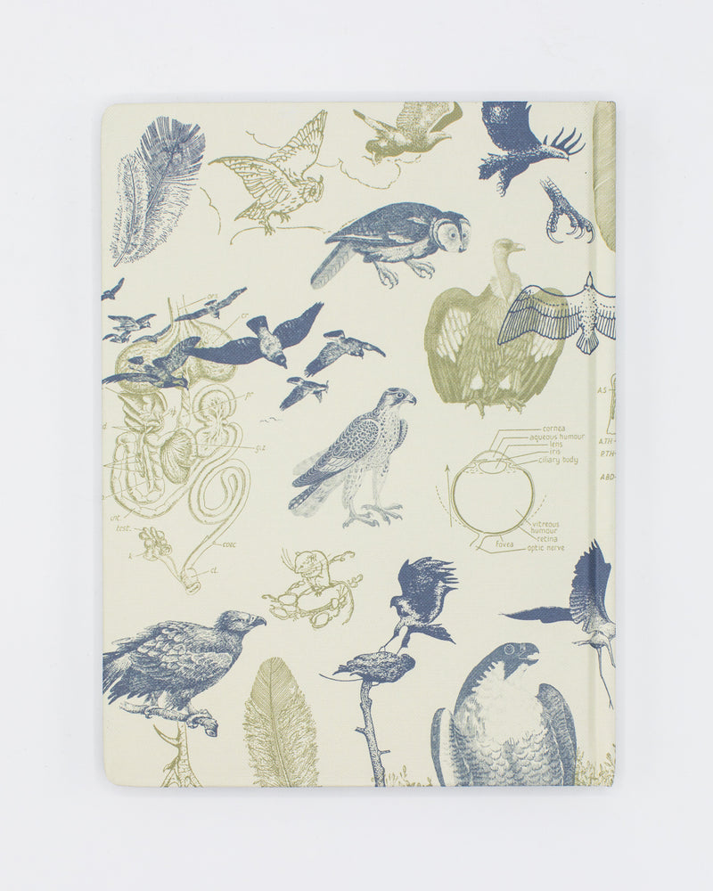 Carnivorous Birds Hardcover - Lined/Grid