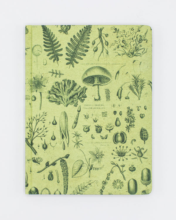 Plants & Fungi Hardcover - Lined/Grid