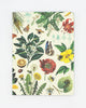 Pollinators Hardcover Notebook - Lined/Grid