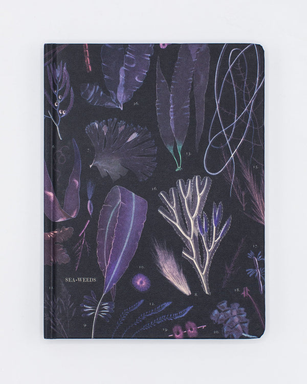 Seaweed Hardcover - Dot Grid