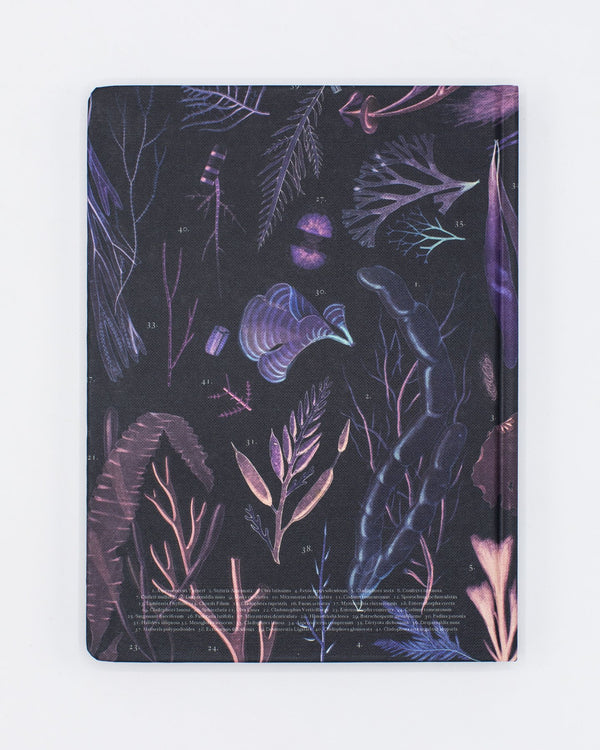 Seaweed Hardcover - Dot Grid