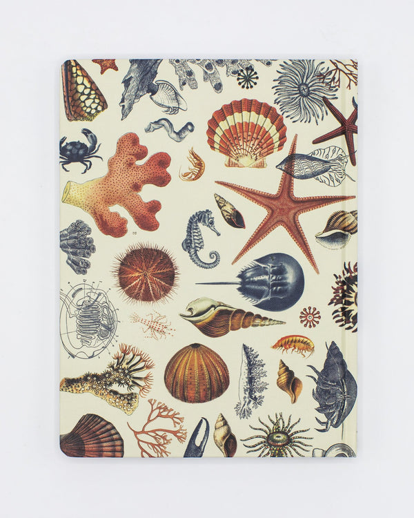 Shallow Seas Pl 2 Hardcover - Dot Grid