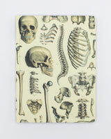 Skeleton Pl 2 Hardcover - Dot Grid