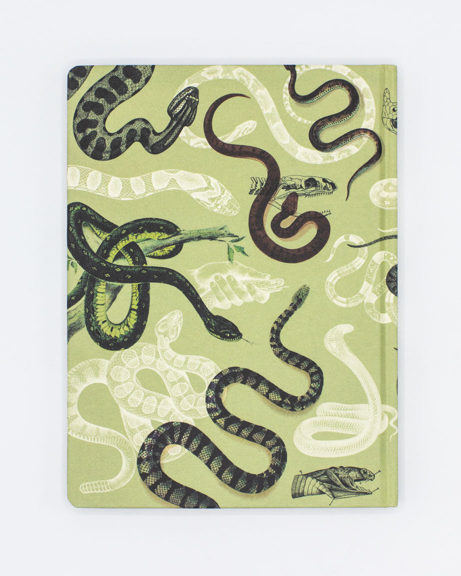 Snakes Hardcover - Lined/Grid