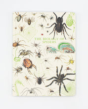 Spiders Hardcover Notebook - Lined/Grid