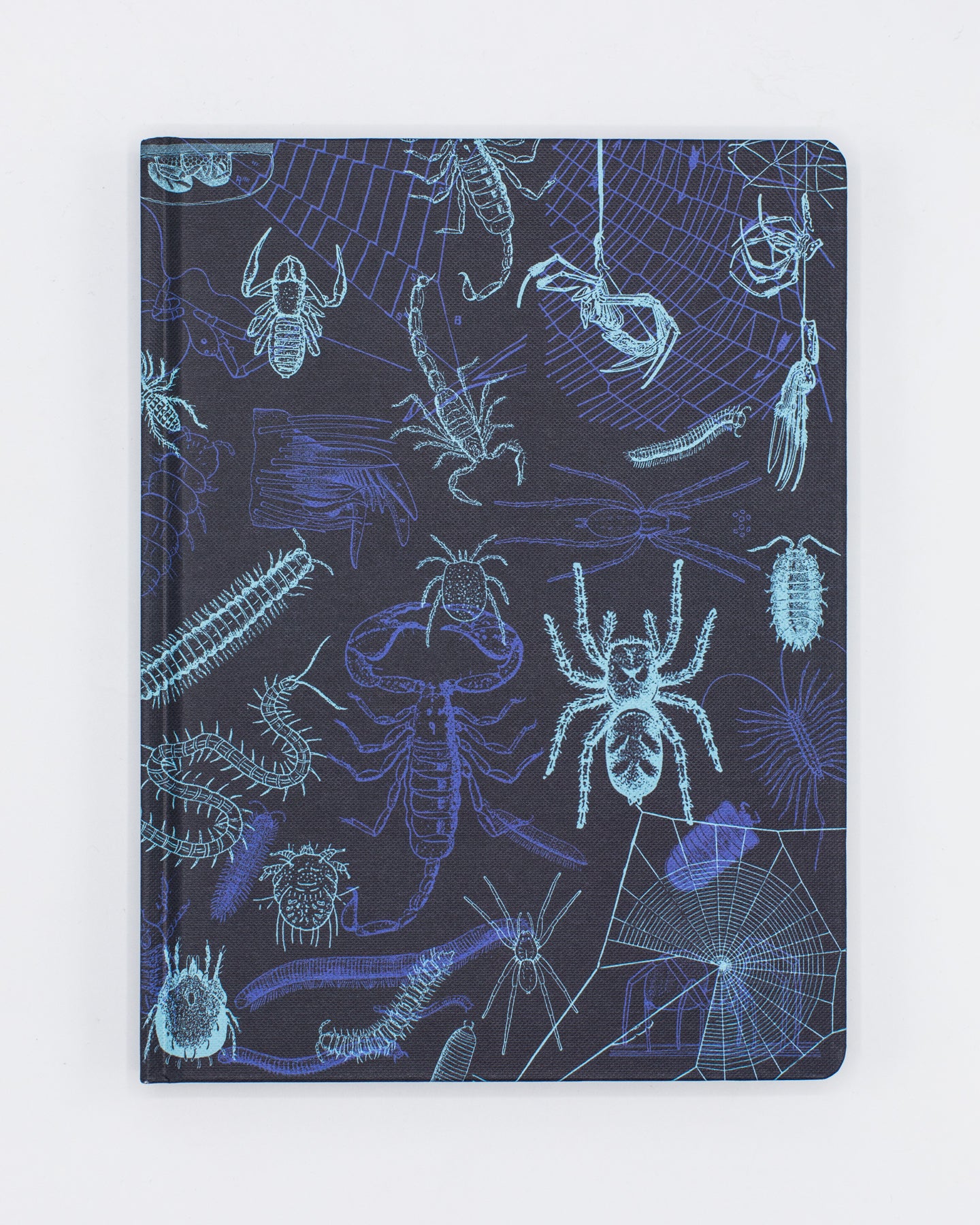 Arachnids + Myriapods Hardcover - Lined/Grid