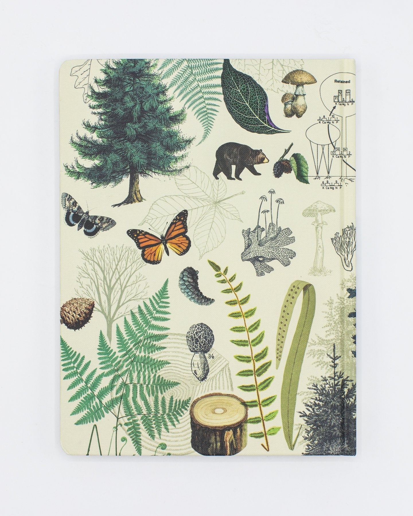 Forest Hardcover - Dot Grid