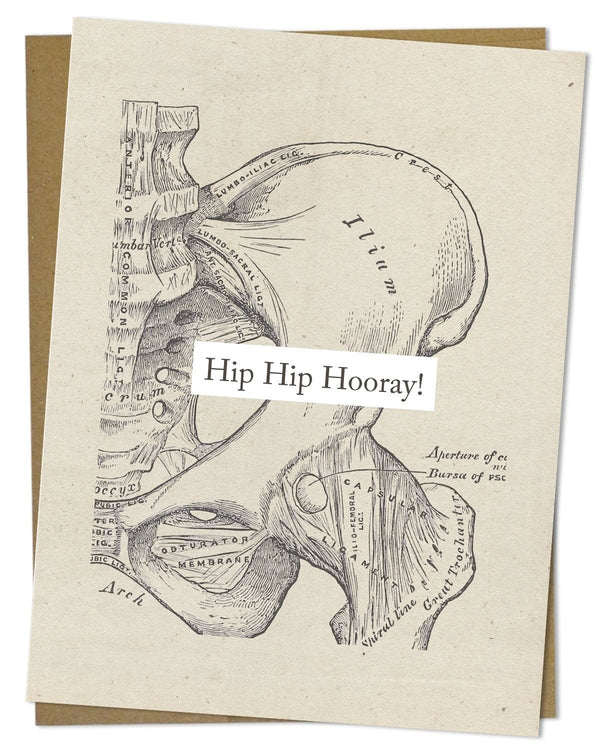 Hip Hip Hooray: Anatomy Card Cognitive Surplus