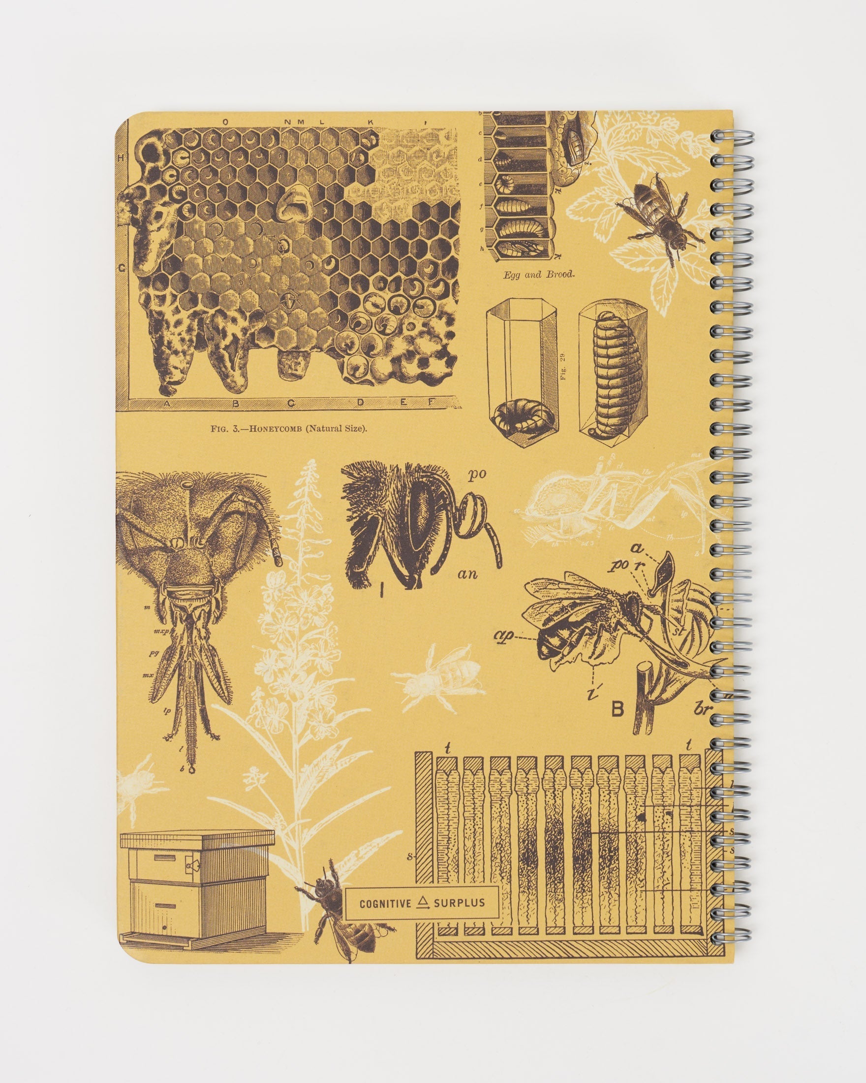 Honey Bee Spiral Notebook