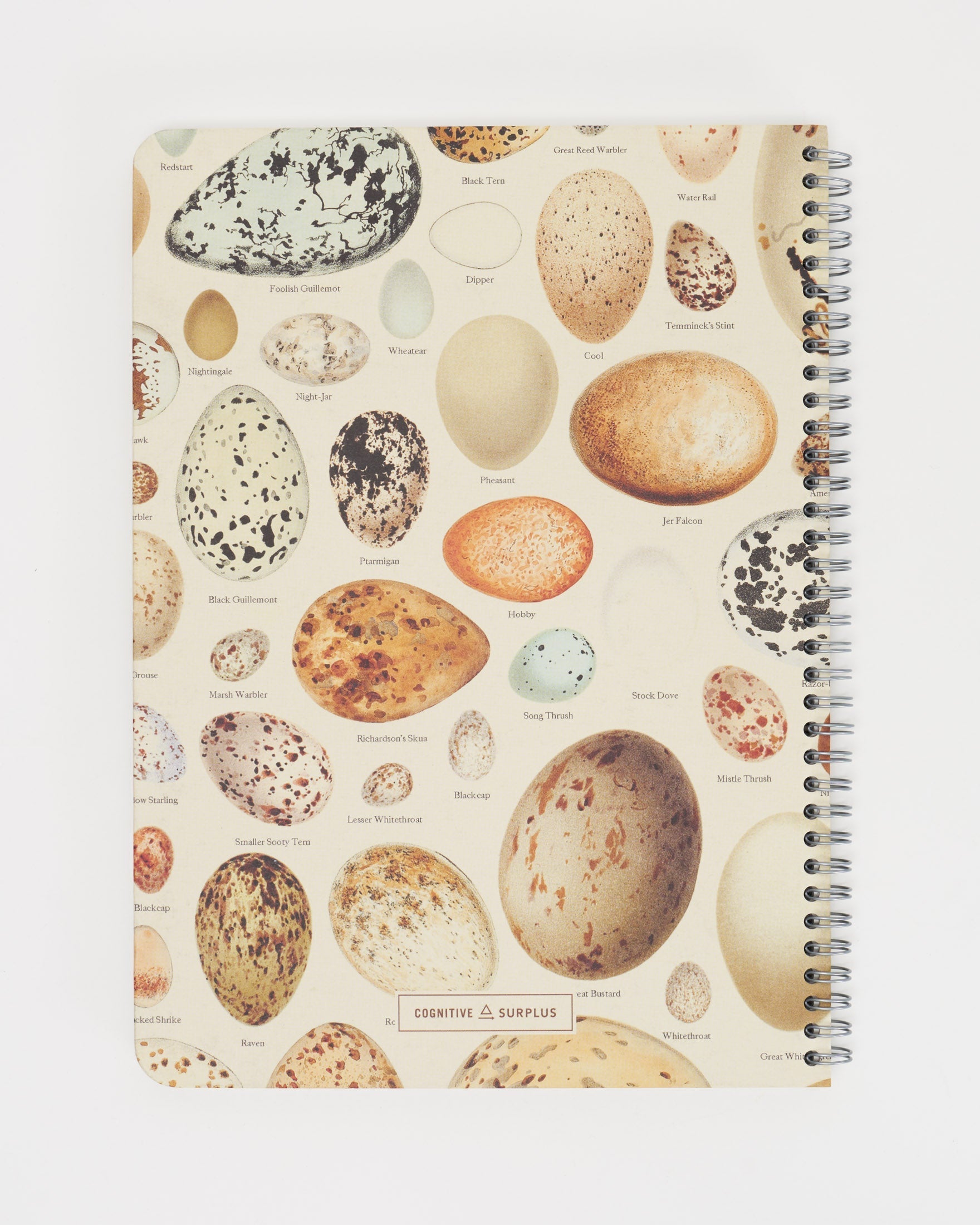 Bird Eggs Spiral Notebook