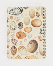 Bird Eggs Spiral Notebook