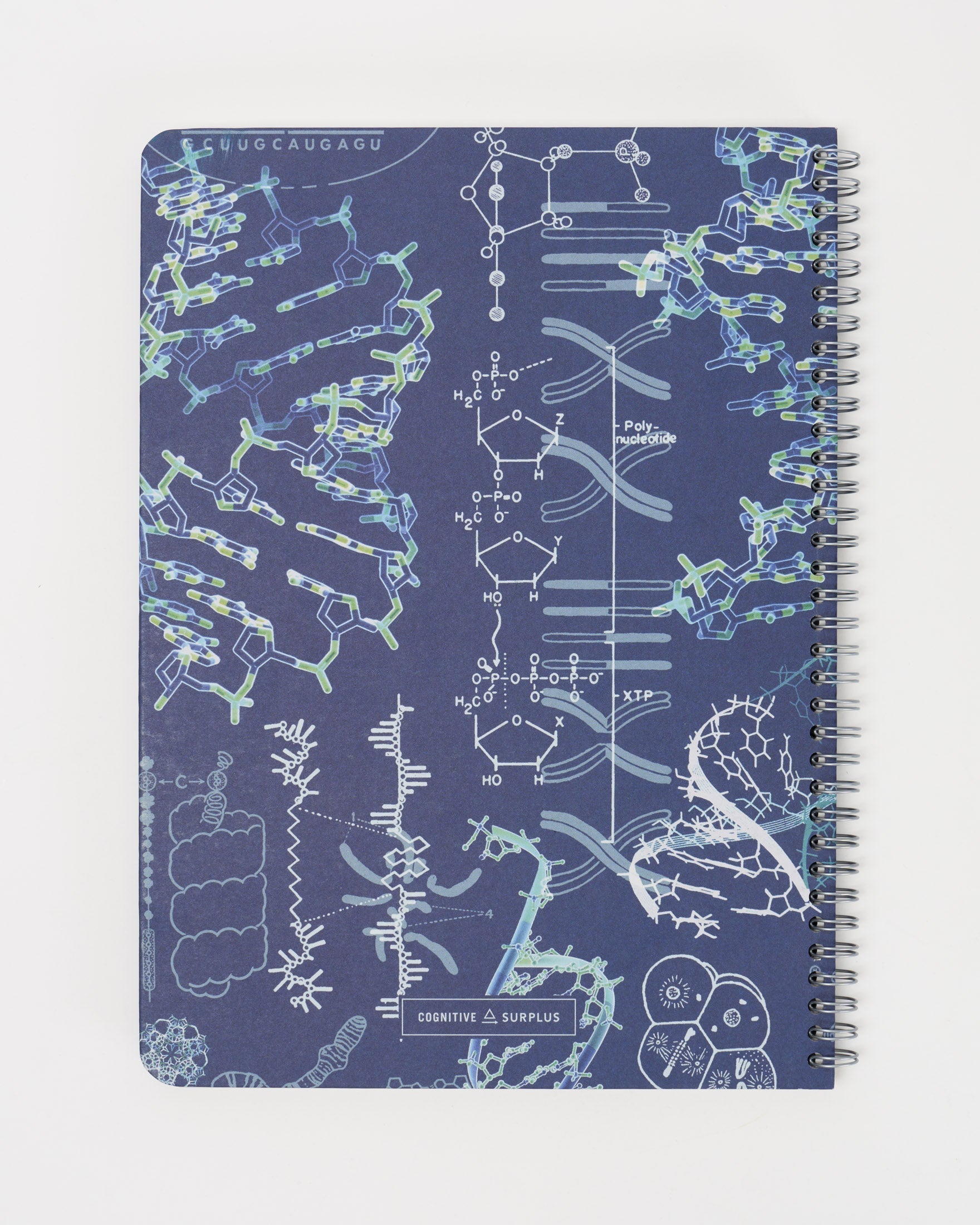 Genetics & DNA Spiral Notebook