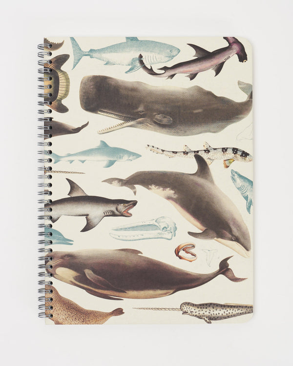 Whales, Sharks & Seals Spiral Notebook