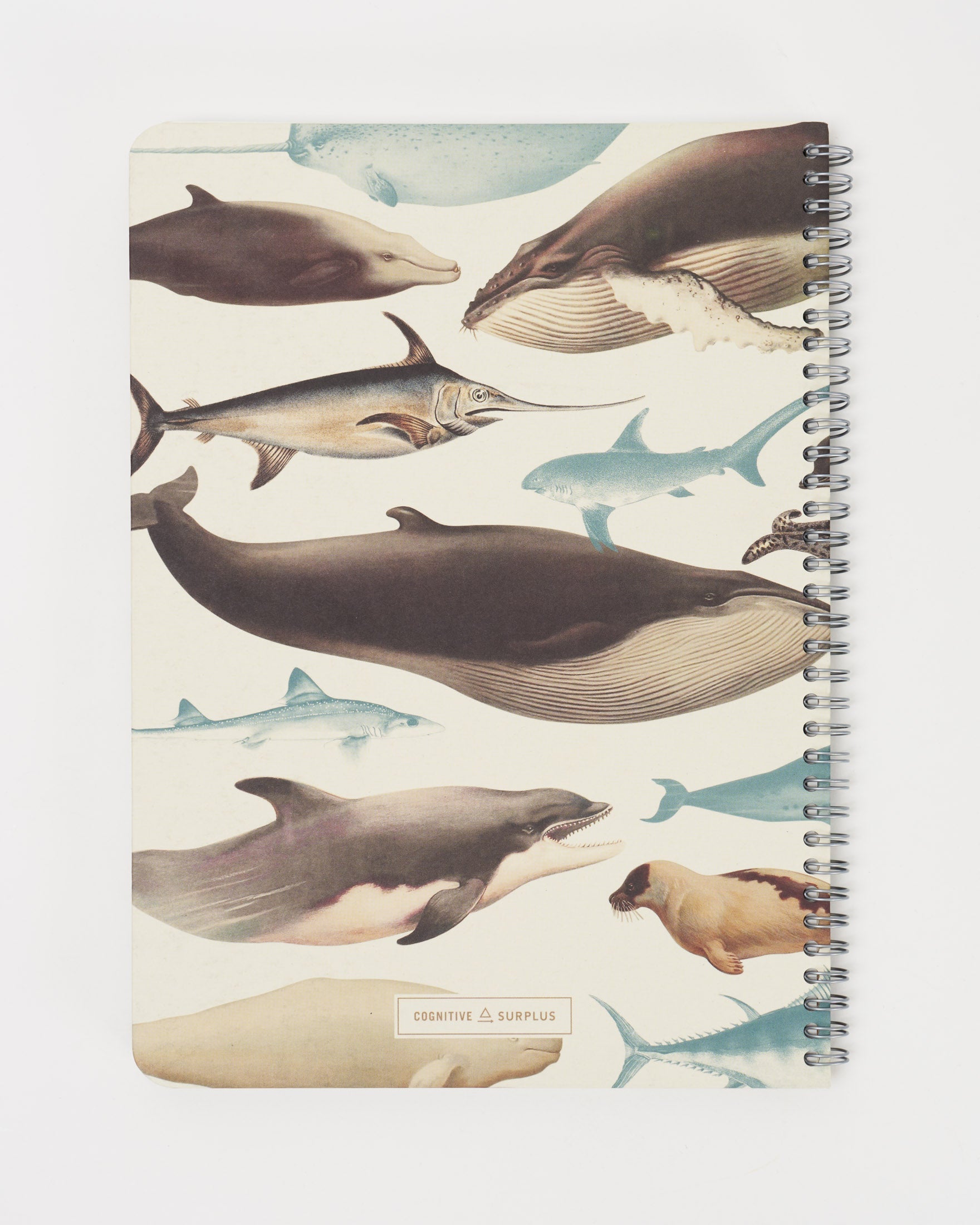 Whales, Sharks & Seals Spiral Notebook