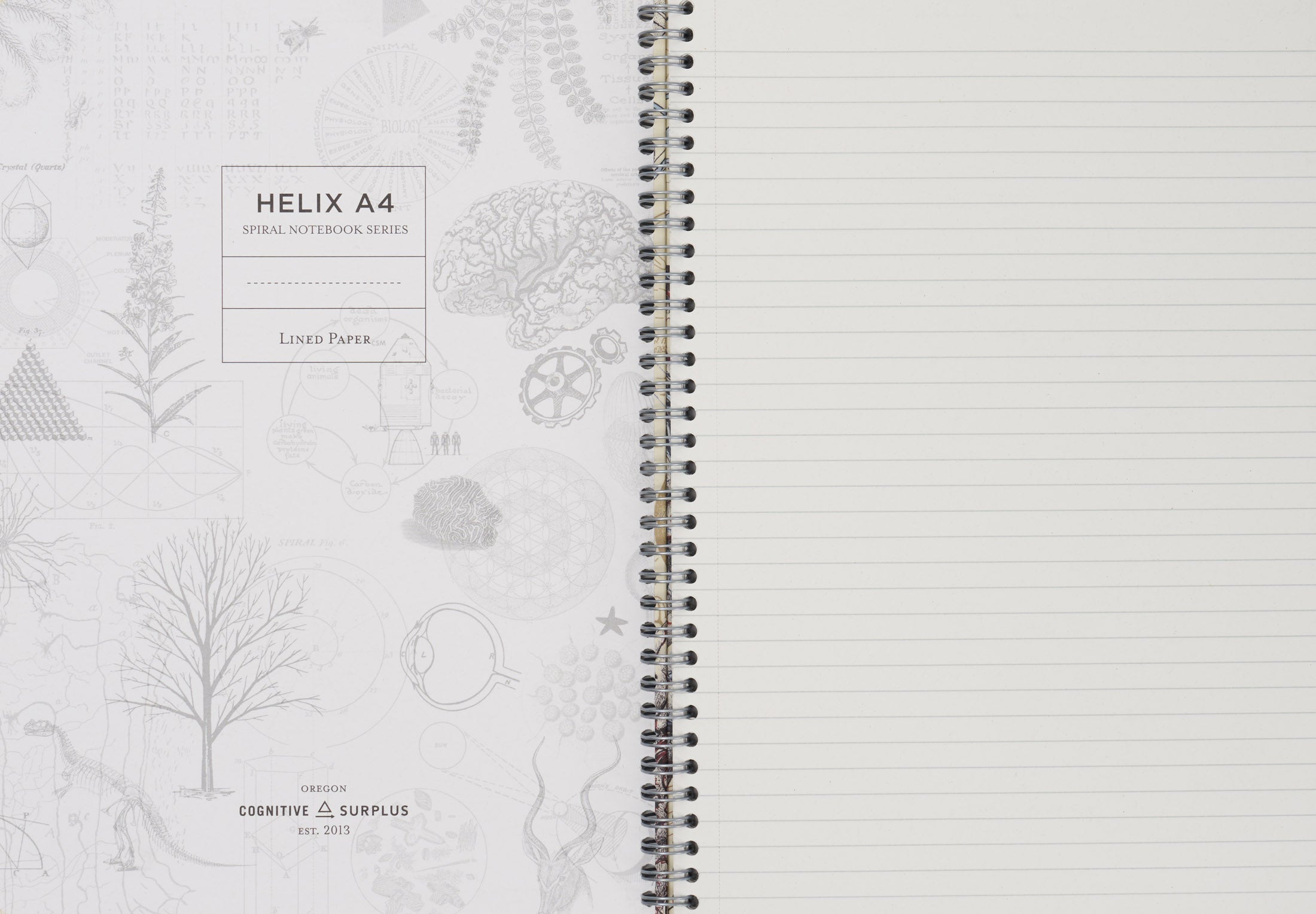 Skeleton Spiral Notebook