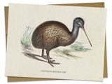 Kiwi Bird Specimen Card