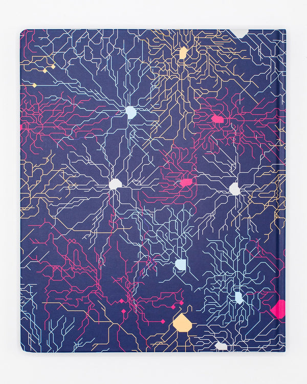 Neural Circuit Lab Notebook