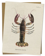 Lobster Specimen Card