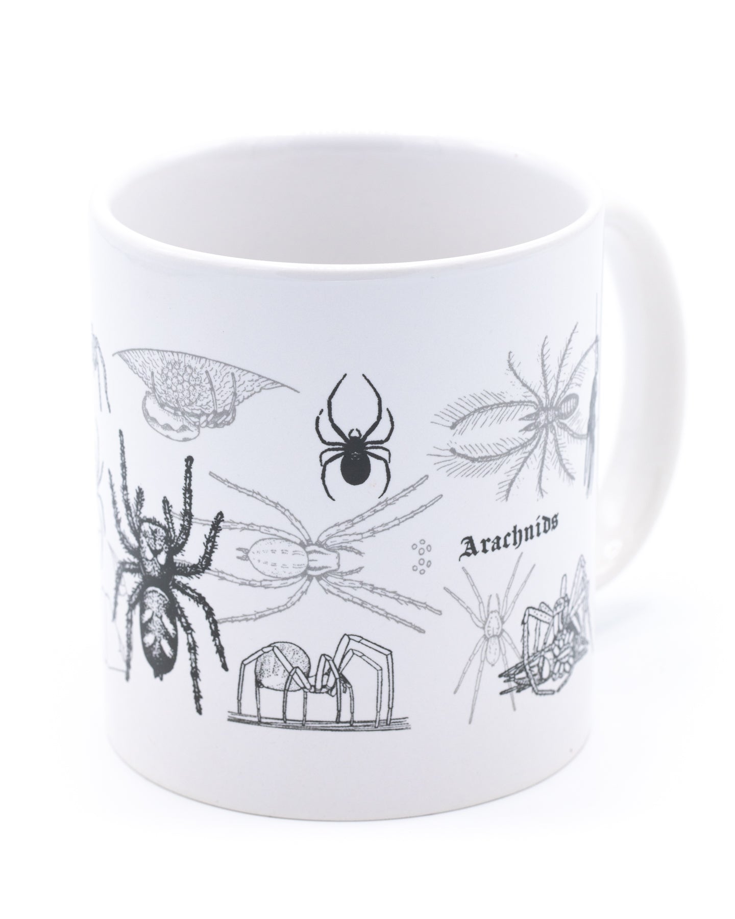 Spiders 20 oz Mega Mug