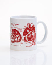 Anatomical Heart Mug | Anatomy Gift | Cognitive Surplus