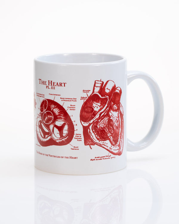 Anatomical Heart Mug | Anatomy Gift | Cognitive Surplus