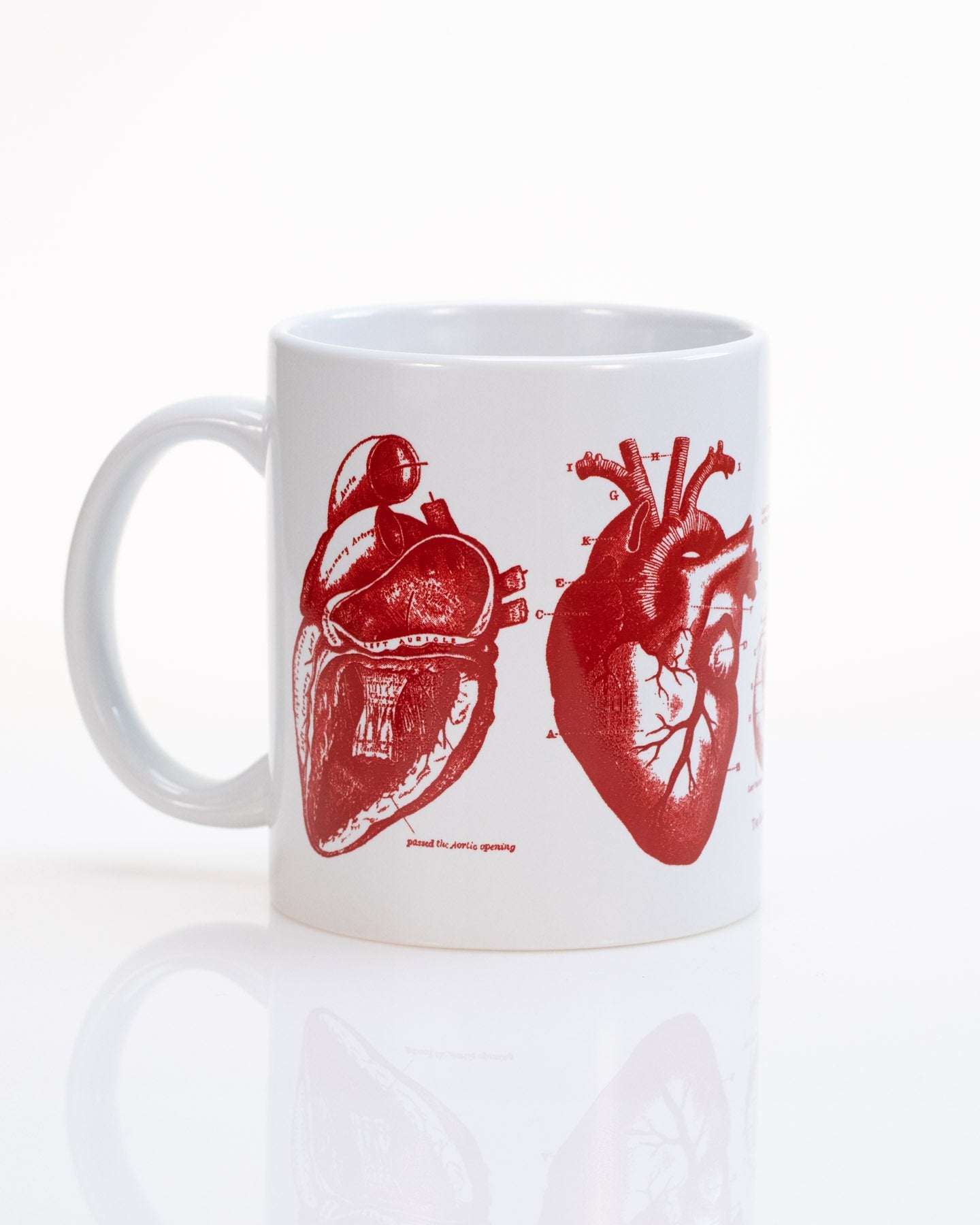 Anatomical Heart Mug | Anatomy Gift | Cognitive Surplus