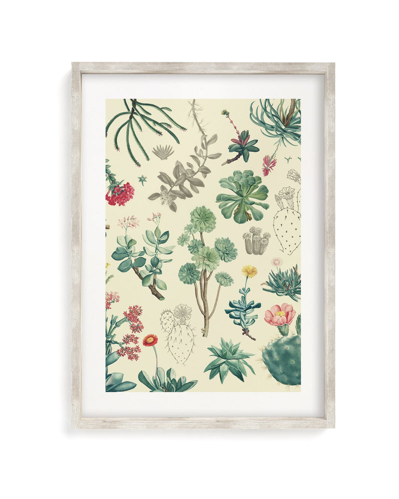 Cactus Museum Print