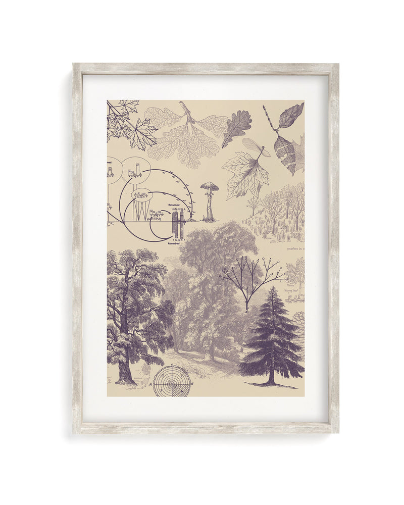 Forest Nutrients Museum Print