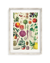 Fruit & Vegetables Museum Print