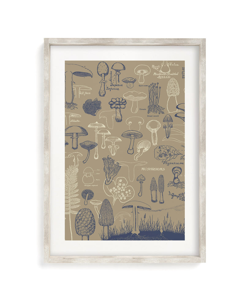 Mushrooms Museum Print