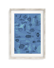 Marine Biology Museum Print