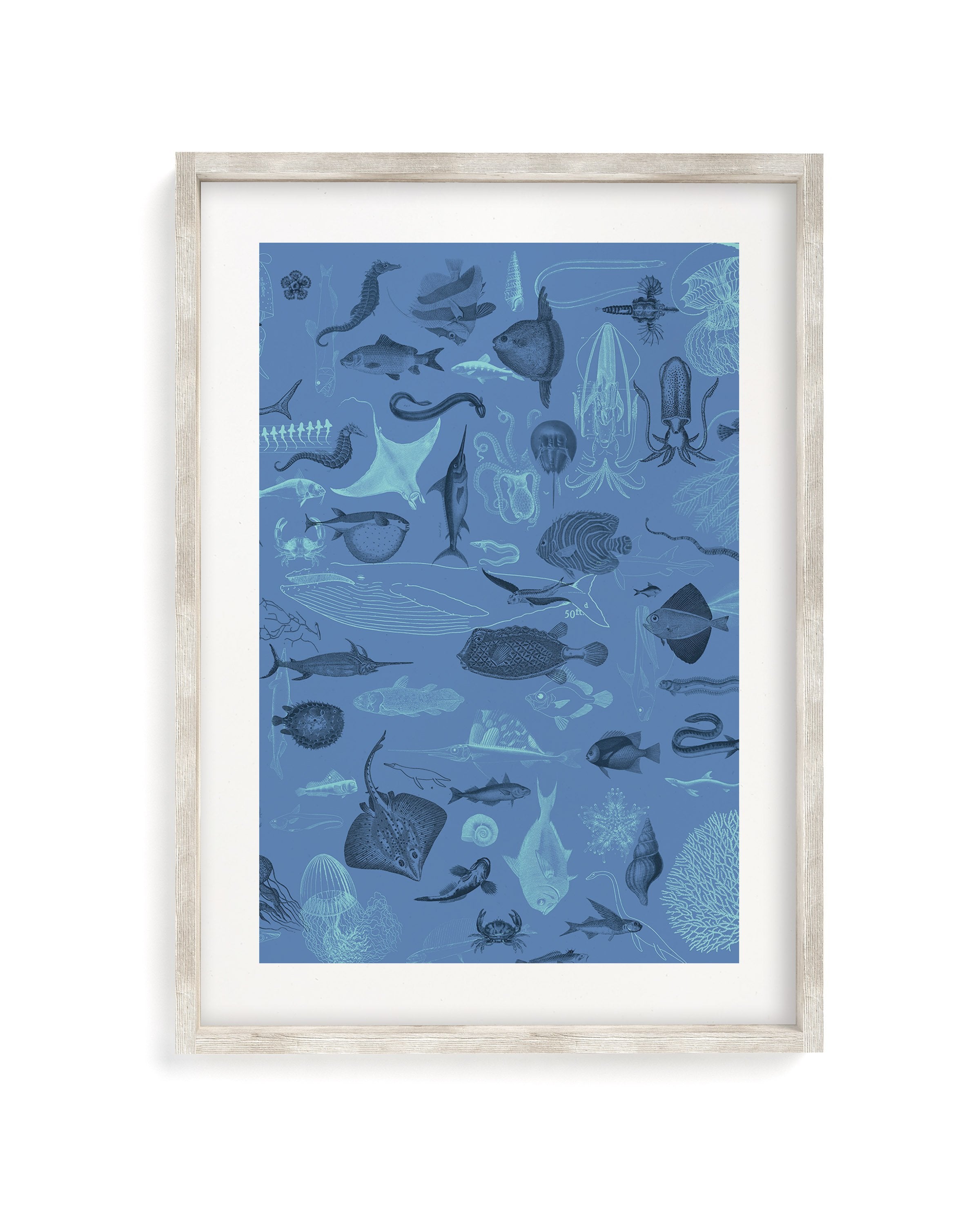 Marine Biology Museum Print