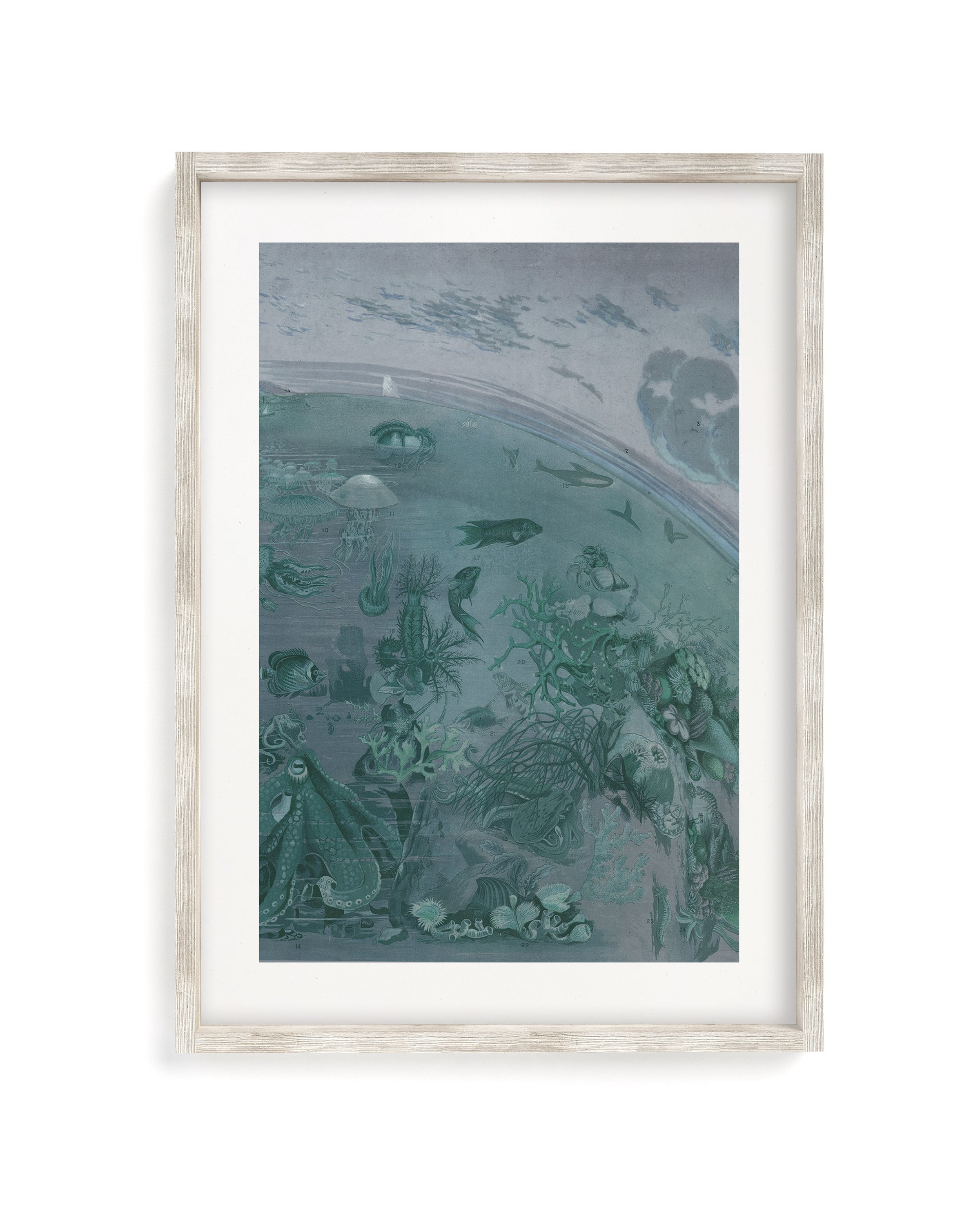 Ocean Planet Museum Print