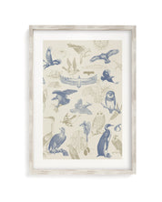 Birds of Prey Museum Print